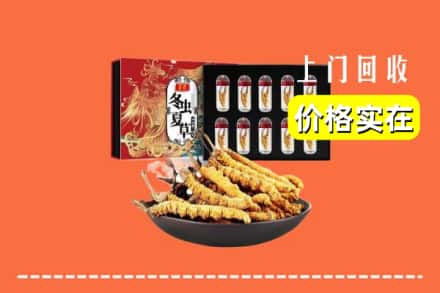 清苑区回收冬虫夏草