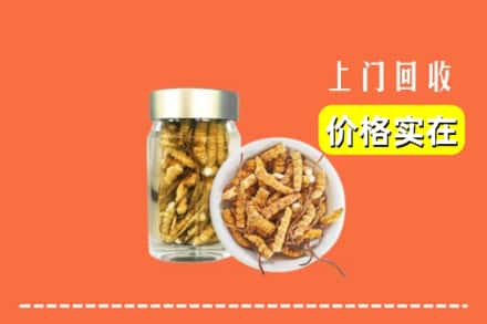 清苑区回收散虫草