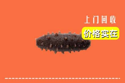 清苑区回收海参