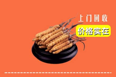 清苑区回收冬虫夏草